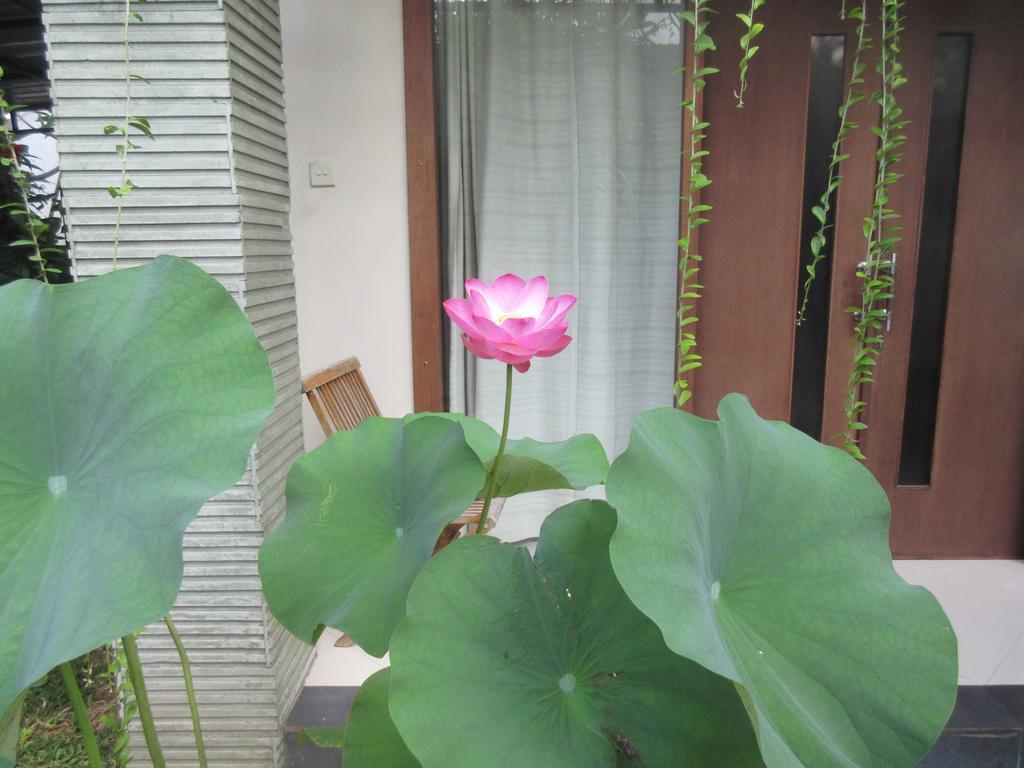 Rika Sanur Homestay 외부 사진